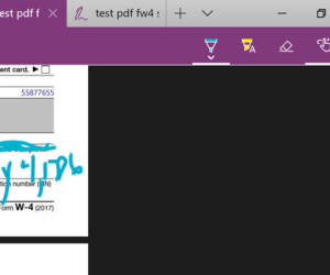 Edge mit einem PDF-Viewer mit Kommentiermöglichkeit