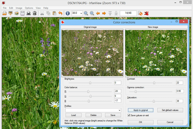 Screenshot von IrfanView