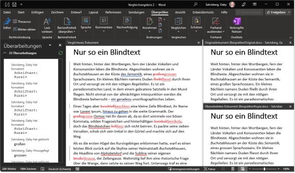 In einem Word-Fenster die viergeteilte Ansicht mit Änderungen, grossem Mittelteil und den zwei kleinen Ansichten