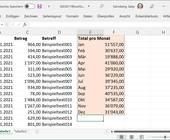 Screenshot einer Excel-Tabelle mit Summen pro Monat