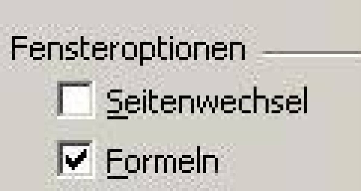 Excel - Formeln und Ergebnisse nebeneinander anzeigen ...