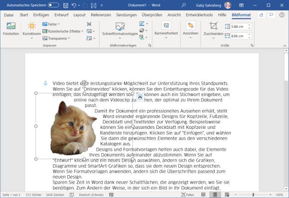 Freigestelltes Kätzchen-Bild im Word-Dokument zeigt unschöne Kanten