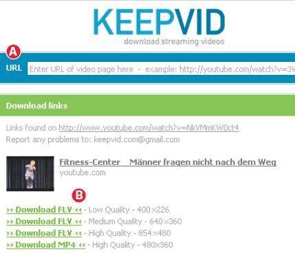 Screen 3: Die Webseite www.keepvid.com ermöglicht Ihnen den Video-Download ohne Programminstallation