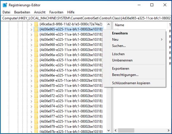 Die Registry mit dem Kontextmenü auf dem hier besprochenen Zweig