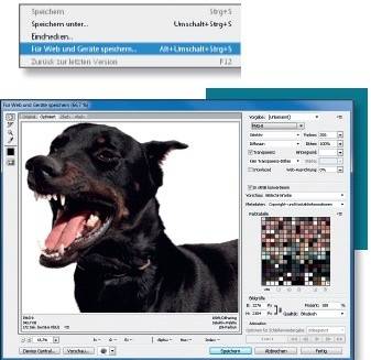 JPEG fürs Web