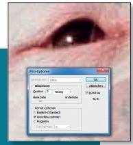 JPG im Schnellcheck