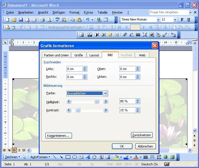 Word Wasserzeichen einfügen pctipp.ch