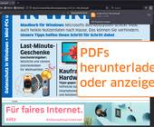 Ein PDF im Firefox und das Download-Menü