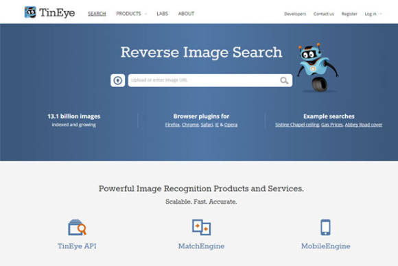 Screenshot TinEye-Webseite