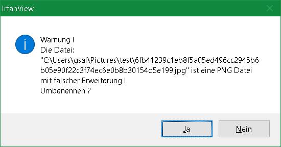 Der Bildbetrachter IrfanView bietet selbstständig eine Korrektur der Dateiendung an