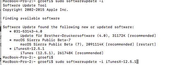 So installieren Sie ein neues Mac-Software-Update manuell über die Konsole