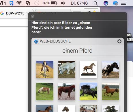 Sie können z.B. mit Siri auch nach Webbildern suchen und diese von Ihrem Fenster direkt in Ihre PowerPoint-Präsentation reinziehen