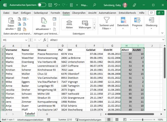 Excel-Mitgliederliste mit Spalten "Alter" und "Mitgliedschaftsdauer"