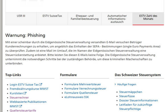 Screenshot Steuererklärungssoftware