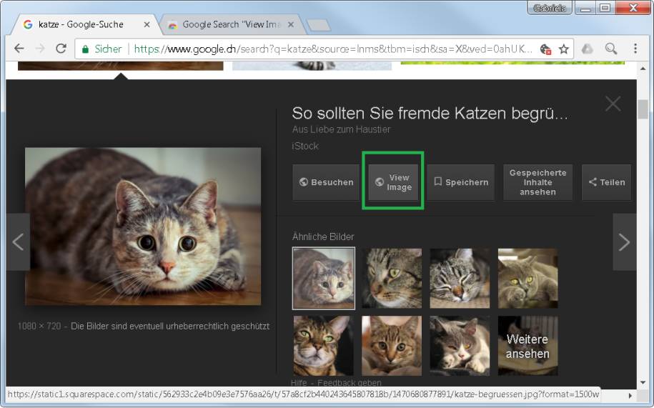 Chrome Firefox Bild Anzeigen In Google Bildersuche Zuruckbringen Pctipp Ch
