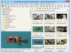 Screenshot der Thumbnail-Ansicht im FastStone Image Viewer