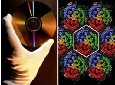 Links die klassische DVD, rechts die Protein-coated disc, kurz PCD - sie soll eines Tages bis zu 50 Terabyte speichern können