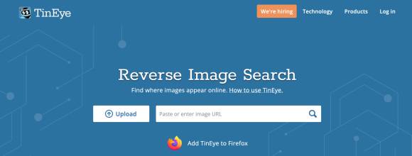 Screenshot der Rückwärts-Bildersuche in TinEye