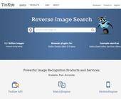 Screenshot der TinEye-Webseite