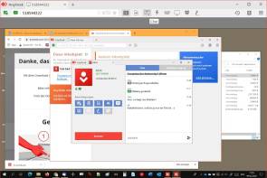 AnyDesk Fernsupport-Werkzeug 