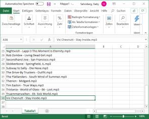 Dateinamen schnell in eine Excel-Liste bringen 
