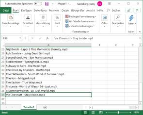 Dateinamen schnell in eine Excel-Liste bringen 