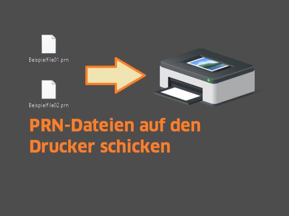 PRN-Dateien auf den Drucker schicken 