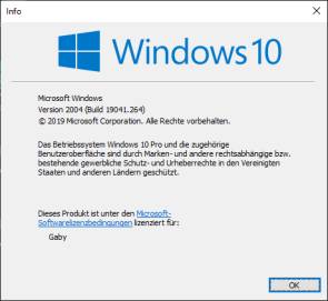 Hier hat die Installation des Updates geklappt