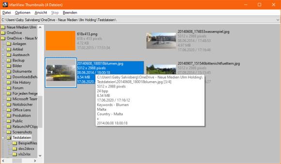 Mouseover über einem IrfanView-Thumbnail
