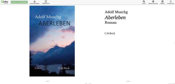 Screenshot des Webreaders mit einem E-Book