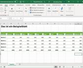 Screenshot Excel-Datei ohne horizontalen Scrollbalken