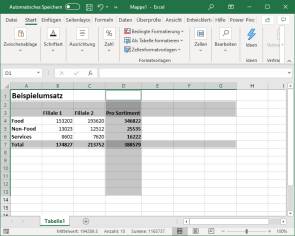 Screenshot Excel-File mit markierten Spalten und Zeilen 