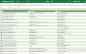 Screenshot mit verpixelten Passwörtern in Excel Screenshot mit verpixelten Passwörtern in Excel