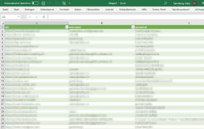 Screenshot mit verpixelten Passwörtern in Excel 