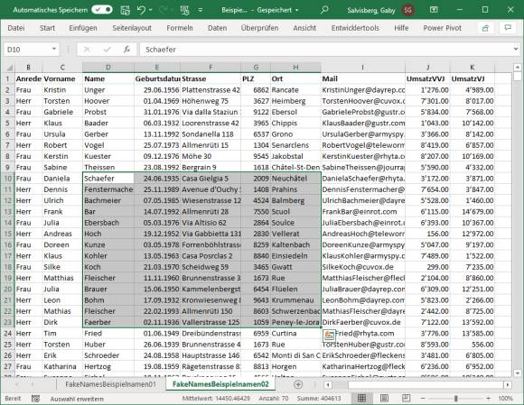 Screenshot Excel mit markierten Zellen