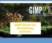 Screenshot Gimp-Startbild mit Text: Ebene vor Bearbeitung schützen