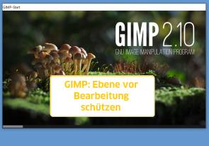 Screenshot Gimp-Startbild mit Text: Ebene vor Bearbeitung schützen 