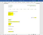Screenshot Word-Briefentwurf mit markierten Feldern