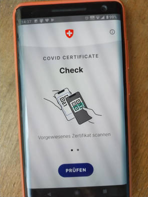Foto eines Smartphones mit der geöffneten Check-App