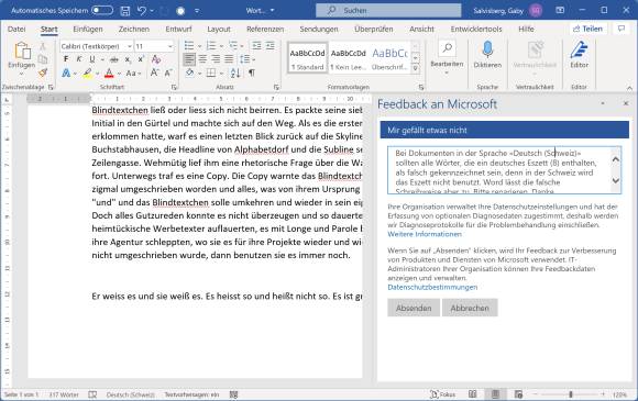 Screenshot Feedback-Meldung in Word