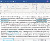 Schreenshot Word