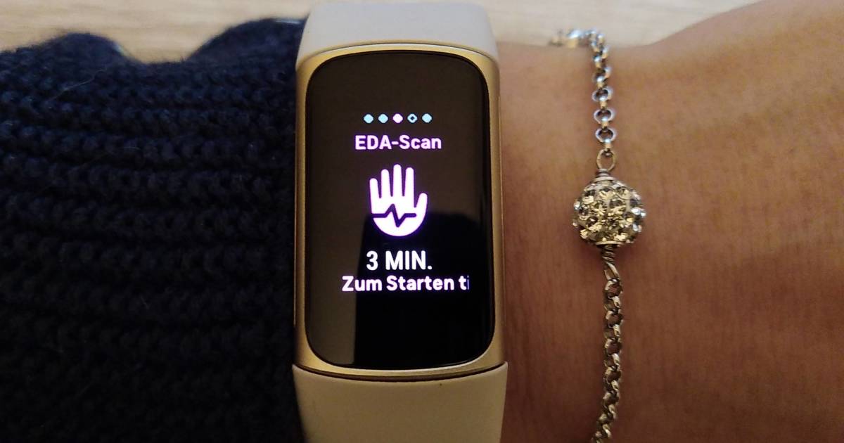 Fitbit Charge 5 k rperliche Reaktion auf Stress messen mit EDA