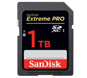 Eine SD-Karte von SanDisk