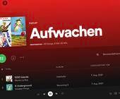 Teil-Screenshot einer Spotify-Playlist