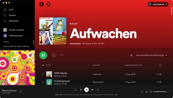 Teil-Screenshot einer Spotify-Playlist