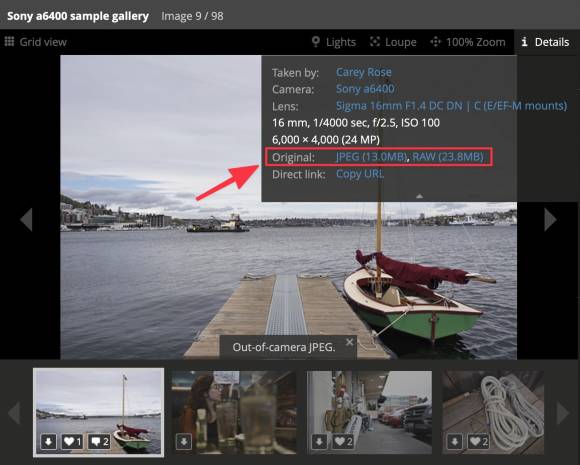 Screenshot mit einem Musterfoto von einer Website und der Möglichkeit, die Originaldatei im RAW-Format zu laden