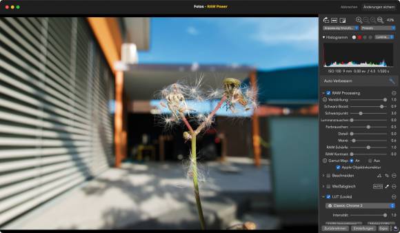 RAW Power funktioniert am Mac als Fotos-Extensions hervorragend Screenshot der Fotosoftware RAW Power, das Bild zeigt einen verdorrten Löwenzahn