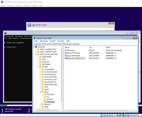 Screenshot der Registry-Einträge in der virtuellen Maschine