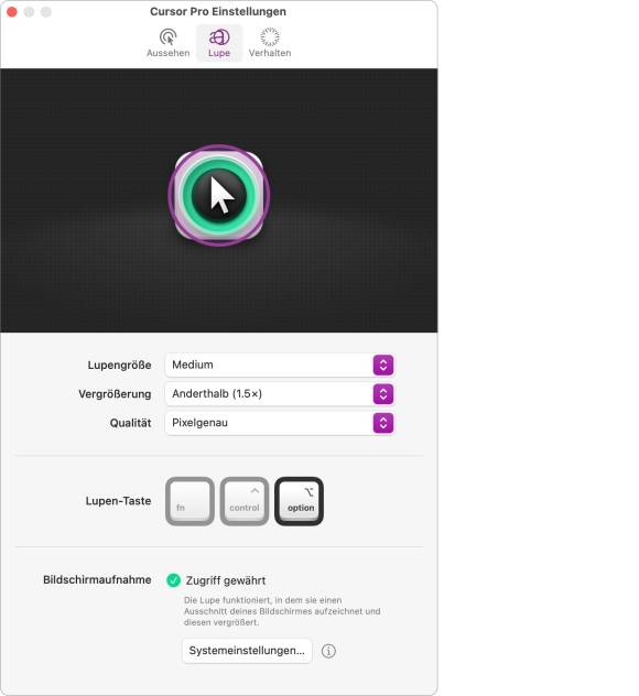 Der Screenshot zeigt ein Einstellungen zur Vergrösserung mit der Lupe