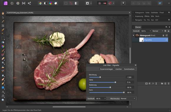Der Screenshot zeigt die Palette mit einem Live-Filter, der das Bild verlustfrei modifizieren kann